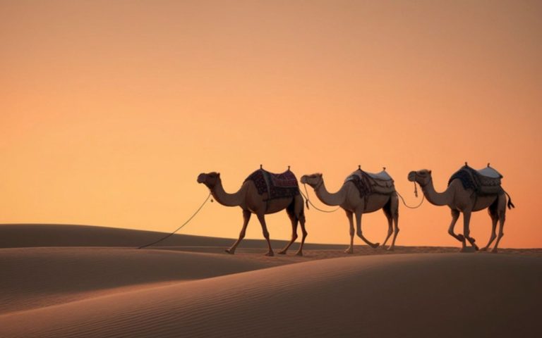 3 Days Tour from Marrakech to Merzouga