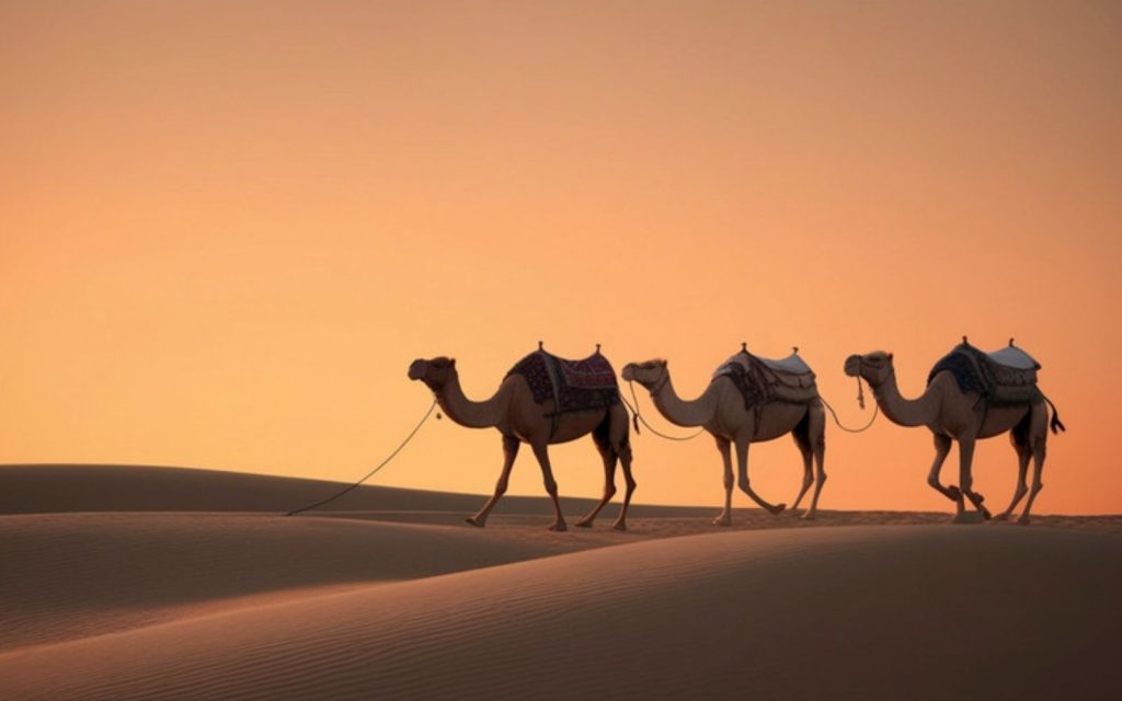 3 Days Tour from Marrakech to Merzouga camel ride in Erg Chebbi